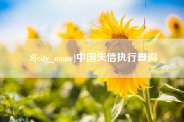 杭州中国失信执行查询