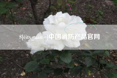 杭州中国消防产品官网