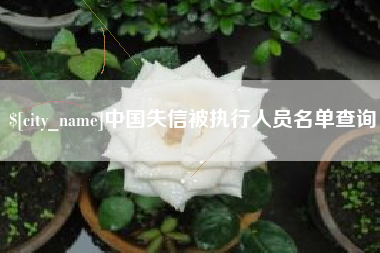 杭州中国失信被执行人员名单查询