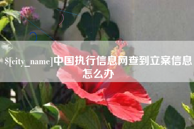 杭州中国执行信息网查到立案信息怎么办