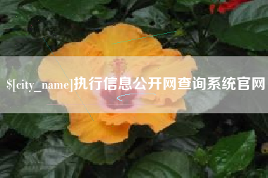 杭州执行信息公开网查询系统官网