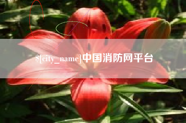 杭州中国消防网平台