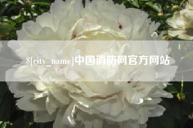 杭州中国消防网官方网站