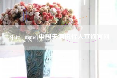 杭州中国失信执行人查询官网