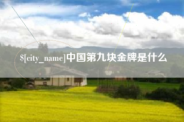 杭州中国第九块金牌是什么