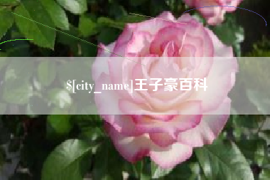 杭州王子豪百科
