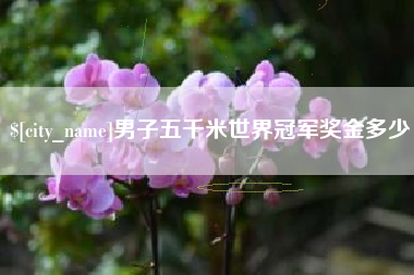 杭州男子五千米世界冠军奖金多少