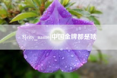 杭州中国金牌都是啥