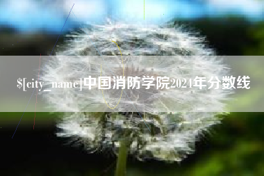 杭州中国消防学院2024年分数线