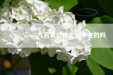 杭州九宫星位是定位不变的吗