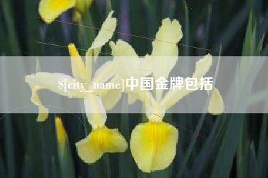 杭州中国金牌包括