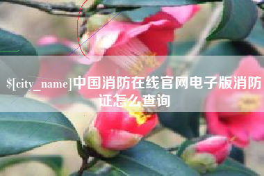 杭州中国消防在线官网电子版消防证怎么查询