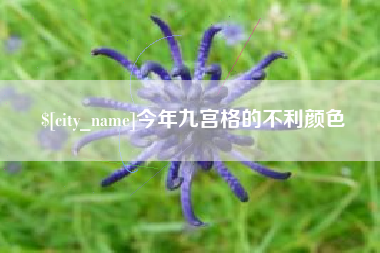 杭州今年九宫格的不利颜色
