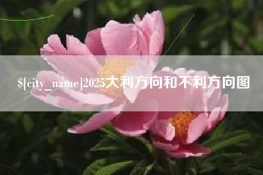 杭州2025大利方向和不利方向图