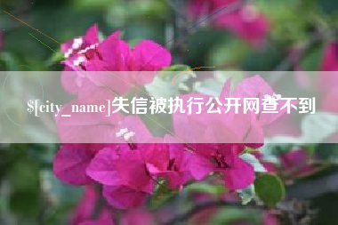 杭州失信被执行公开网查不到