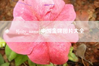 杭州中国金牌图片大全