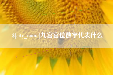 杭州九宫宫位数字代表什么