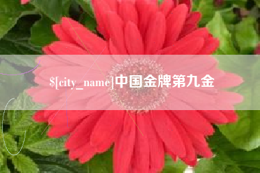 杭州中国金牌第九金