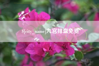 杭州九宫排盘免费