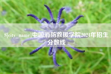 杭州中国消防救援学院2024年招生分数线