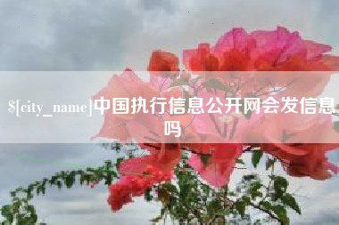 杭州中国执行信息公开网会发信息吗
