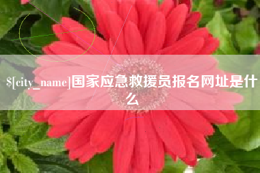 杭州国家应急救援员报名网址是什么