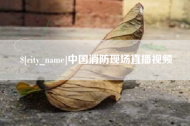 杭州中国消防现场直播视频