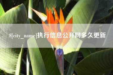 杭州执行信息公开网多久更新