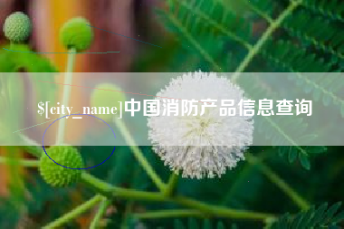 杭州中国消防产品信息查询