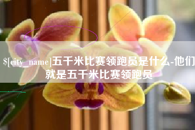 杭州五千米比赛领跑员是什么-他们就是五千米比赛领跑员