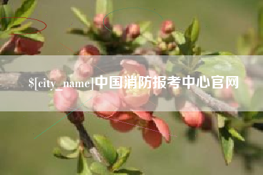 杭州中国消防报考中心官网