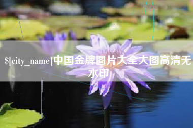 杭州中国金牌图片大全大图高清无水印