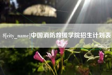 杭州中国消防救援学院招生计划表