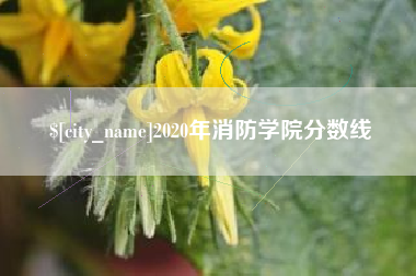 杭州2020年消防学院分数线