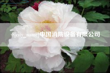 杭州中国消防设备有限公司