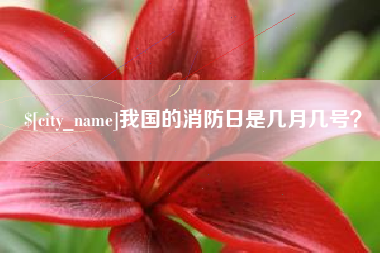 杭州我国的消防日是几月几号？