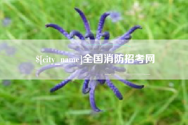 杭州全国消防招考网