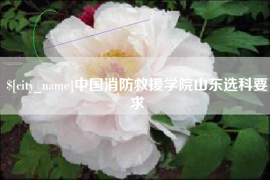 杭州中国消防救援学院山东选科要求