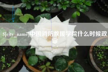 杭州中国消防救援学院什么时候政审