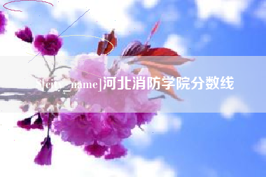杭州河北消防学院分数线