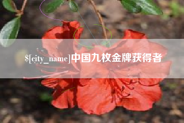 杭州中国九枚金牌获得者