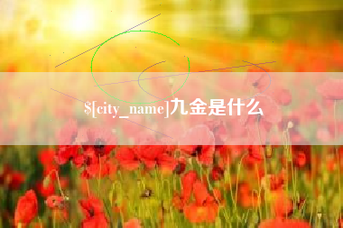 杭州九金是什么