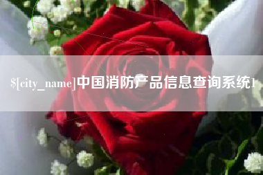 杭州中国消防产品信息查询系统1