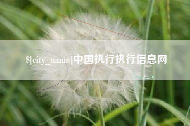 杭州中国执行执行信息网