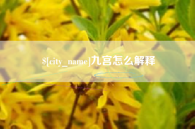 杭州九宫怎么解释