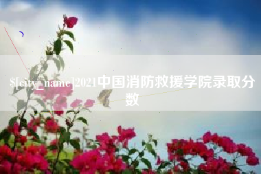 杭州2021中国消防救援学院录取分数