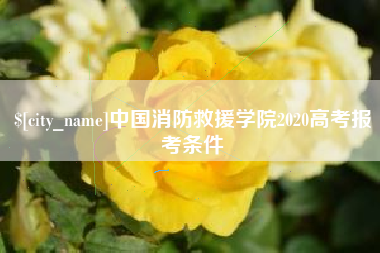 杭州中国消防救援学院2020高考报考条件