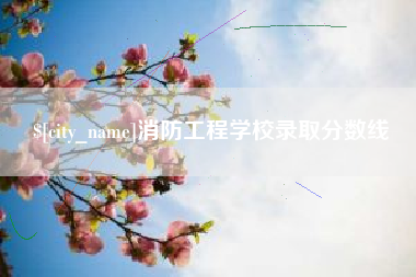 杭州消防工程学校录取分数线