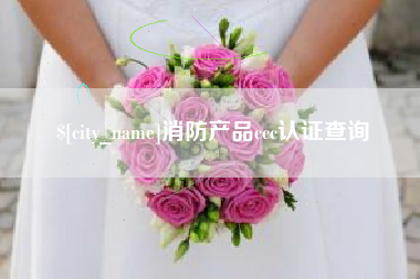 杭州消防产品ccc认证查询