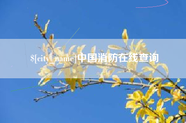 杭州中国消防在线查询